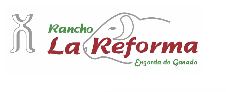 Rancho La Reforma — Engorda de Ganado
