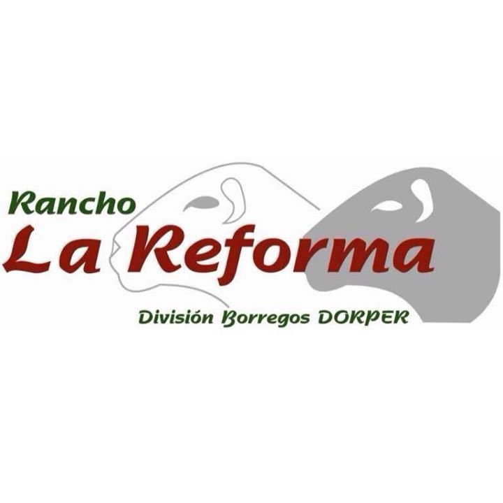 Logotipo de Rancho La Reforma